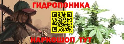 амф Лесосибирск