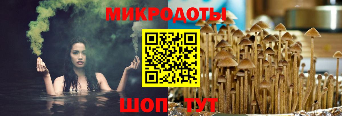 Псилоцибиновые грибы прущие грибы  Вход с VPN  Псилоцибиновые грибы MAGIC MUSHROOMS  Еманжелинск 